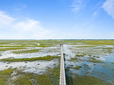 Welcome to 1517 Mossy Branch Way--a stunning, thoughtfully