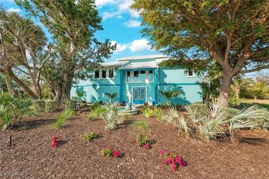 900 FEET TO THE BEACH! DIRECT GULF ACCESS CANAL! 3 LOTS! LARGE