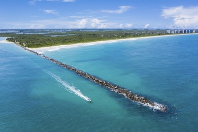 This exceptional oceanfront estate offers unparalleled privacy