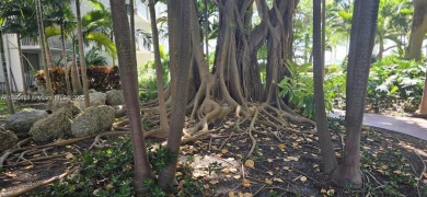 Just minutes from Miami Design District, this spacious 1BR unit