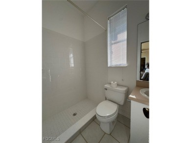 1.16 acre lush ESTATE with a 4 Bed, 3 bath pool home in the