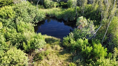 1.16 acre lush ESTATE with a 4 Bed, 3 bath pool home in the