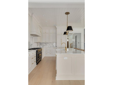 Move-In Ready Luxury in Snell Isle! This stunning new