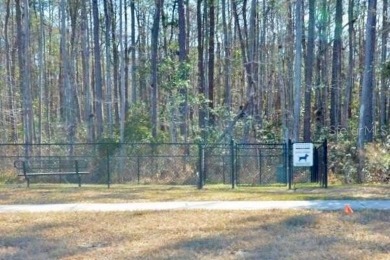 Welcome to Parkland Preserve, one of St. Augustine's most