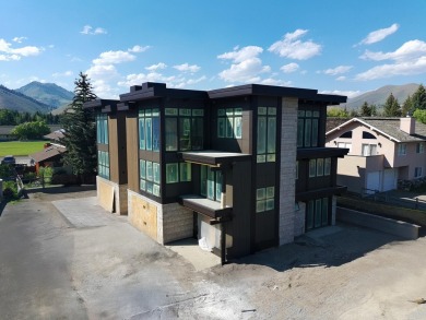 Custom stand-alone home, with elevator, located in downtown