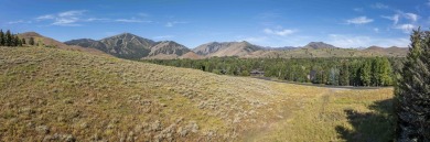 Properties such as this come available once every 50 years