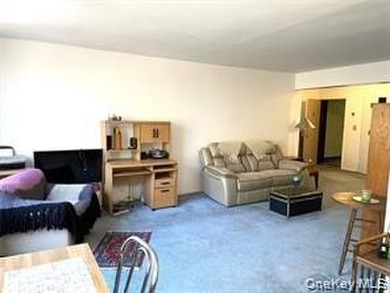Very large 1 bedroom and 1 bath that has plenty of natural light