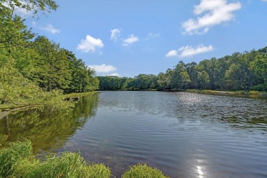 Property is under contract and may accept back up offers at this