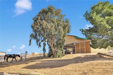 Major Price Improvement on This Incredible Equestrian Property -