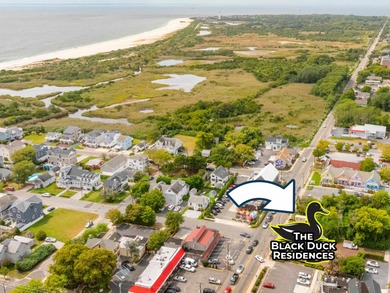 Black Duck Landing & Black Duck Nest. Elevated Luxury Living in