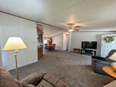 Move-In ready Kentucky Lake area home with a nice setting