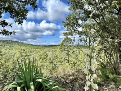 Stunning view. This 2840 sq ft log home has the best view on the