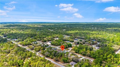 NO HOA. Charming Citrus Springs home is ready to move right in