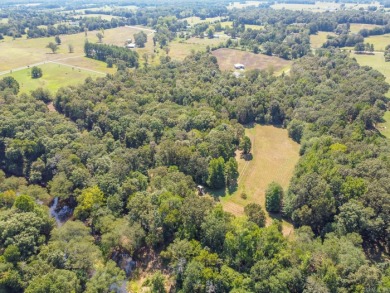 Welcome to Market 7135 Hwy 124 of Quitman, AR within the Quitman