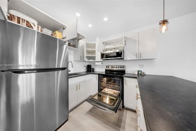 Beautifully Remodeled 1-Bedroom Condo in North Miami 55+