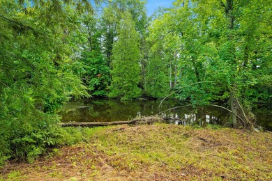 Unique 2 BR/1Ba cabin and property near the intersection of Hwys