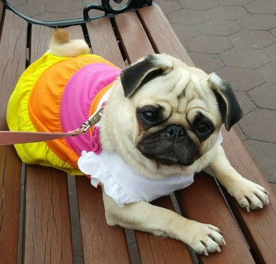 Majestically seated high atop the Palisades cliffs in the Galaxy