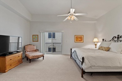 Downtown St Pete  is now your playground! Discover the epitome