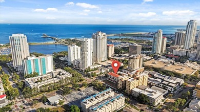 Downtown St Pete  is now your playground! Discover the epitome