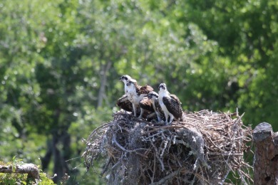 Introducing a one-of-a-kind living experience tailored for those