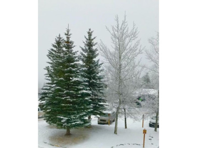 SKI-IN/SKI-OUT! Enjoy mountain living in this slope side 1,000+