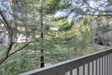 5202 Shelter Creek LN