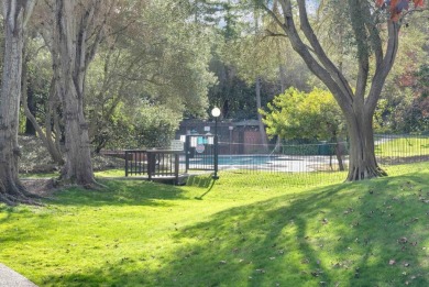 5202 Shelter Creek LN