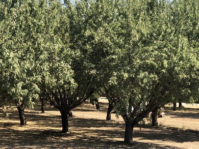 Perfect opportunity for someone who's looking for a Homesite to