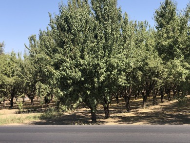 Perfect opportunity for someone who's looking for a Homesite to