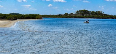 Nestled in the heart of Ponce Inlet, this luxurious condo