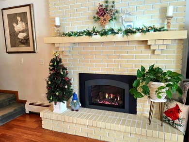 Remodeled 3 Bedroom, 2 Bath with Heated Garage & Amish-Built