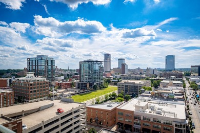 Unique, French Country, Beautiful High Rise Condo in the heart