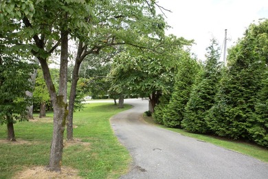 REDUCED!!! Residential or Commercial this property can be used