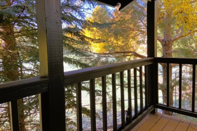 This unique property masterfully blends two Wildflower condo