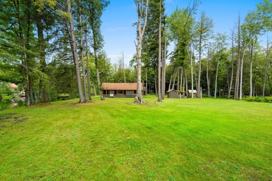 Unique 2 BR/1Ba cabin and property near the intersection of Hwys