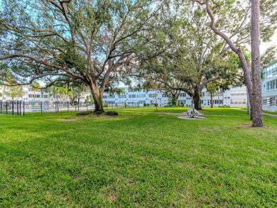 Charming 55+ Condo in Prime St. Petersburg Location!

Discover