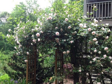 Nestled in the serene mountains of North Carolina, this