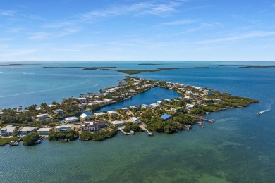 Defined by its architectural prowess and unique style, this home