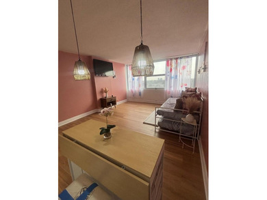 Tastefully upgraded fully furnished Elmwood Park Studio Condo on