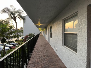 Beautiful two bdrm 2 bath corner unit condo 55 + gated community