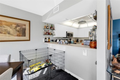 FURNISHED and MOVE-IN READY! Looking for your slice of southwest