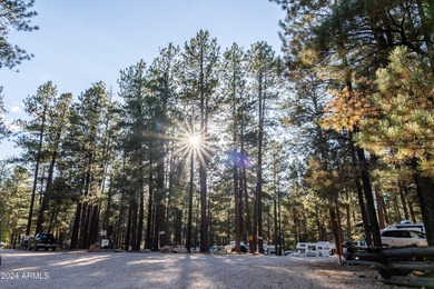 Discover a unique opportunity to own the only privately-owned