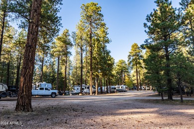 Discover a unique opportunity to own the only privately-owned