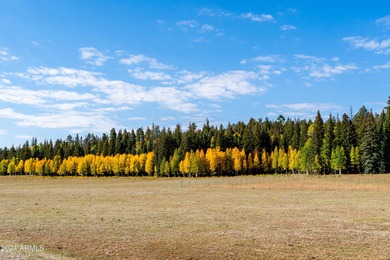 Discover a unique opportunity to own the only privately-owned