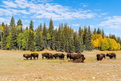 Discover a unique opportunity to own the only privately-owned