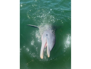 Live Where Others Vacation -- The Beach Is Calling You!

