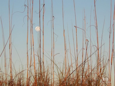 *FUR BABIES* WELCOME!! Up to 2 dogs allowed for owners, no