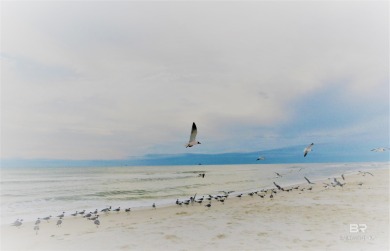 *FUR BABIES* WELCOME!! Up to 2 dogs allowed for owners, no