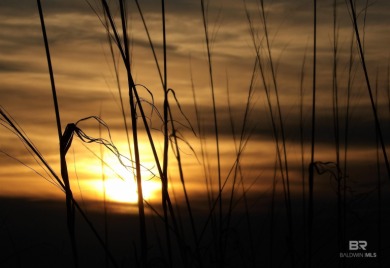 *FUR BABIES* WELCOME!! Up to 2 dogs allowed for owners, no