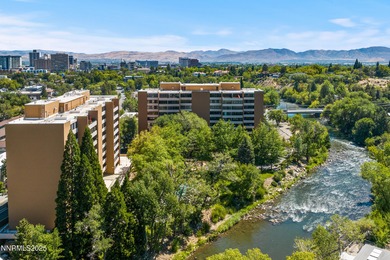 0.2 mi to Idlewild Park - Truckee River & Sierra views - Fully